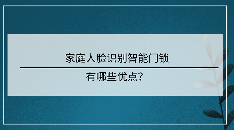 家庭人脸识别智能门锁优点