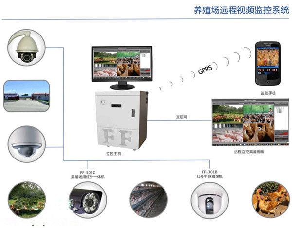 养殖场远程视频监控系统